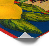 Poster Questa Lemon LabelCorona, CA (Coin)