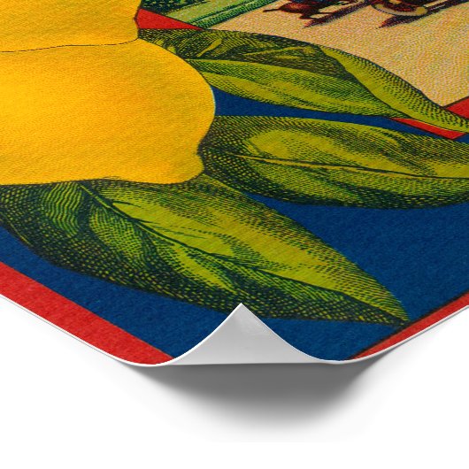 Poster Questa Lemon LabelCorona, CA (Coin)