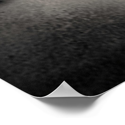 Poster Questions (Coin)