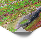 Poster Questions 1 Wild Green Maroon Art Print (Coin)