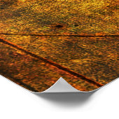 Poster Quête de la connaissance (Coin)