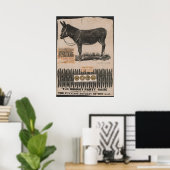 Poster Queue antique sur l'âne (Bureau à domicile)