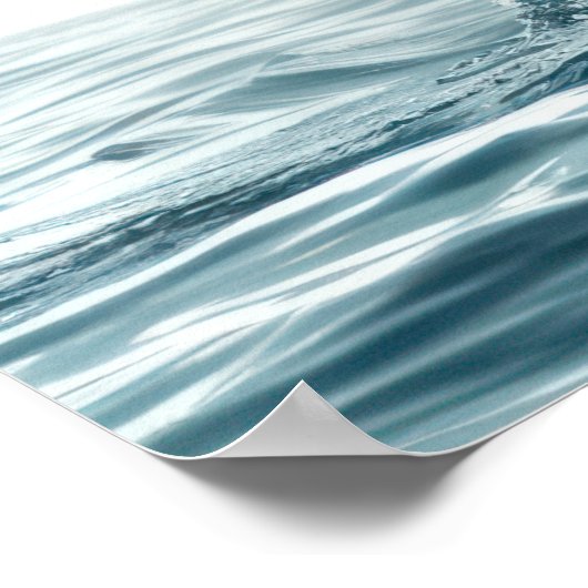 Poster Queue de baleine sortant de l'océan (Coin)