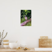Poster Queue de Bobwhite (Cuisine)