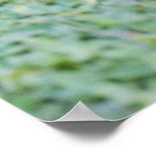 Poster Queue de Bobwhite (Coin)