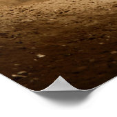 Poster Queue de coq (Coin)