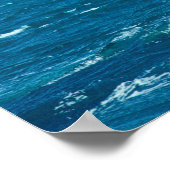 Poster Queue de veau de baleine - Argentine (Coin)