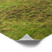 Poster Queue spéciale du Centenaire de la Royal Air Force (Coin)