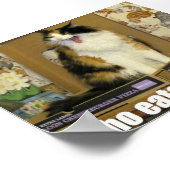 Poster qui a mangé ma pizza ? Mème de chat drôle (Coin)