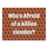 Qui a peur d’un milliard de Cicadas ?