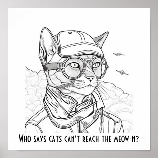 Poster Qui dit que les chats ne peuvent pas atteindre le  (Devant)