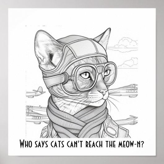 Poster Qui dit que les chats ne peuvent pas atteindre le  (Devant)