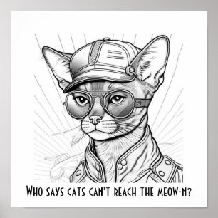 Poster Qui dit que les chats ne peuvent pas atteindre le 