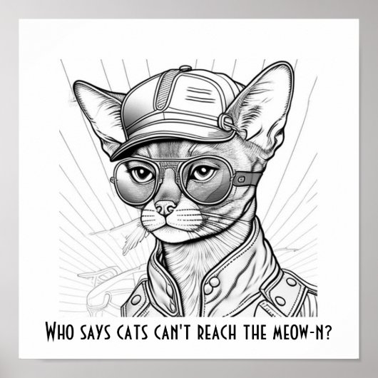 Poster Qui dit que les chats ne peuvent pas atteindre le  (Devant)