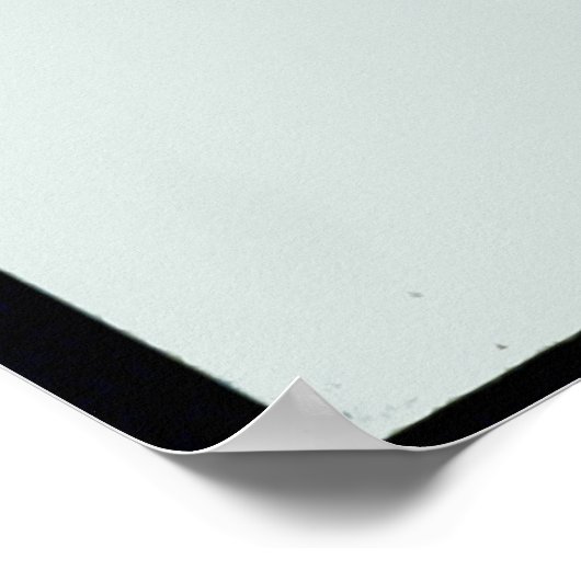 Poster qui est qui dans le zoo (Coin)