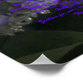 Poster Qui je suis (Coin)