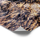 Poster Qui regarde (Coin)