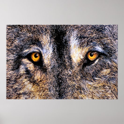 Poster Qui regarde (Devant)