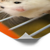 Poster Qui vous regarde ? (affiche) (Coin)