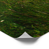 Poster Quiet Dock in the Upper Peninsula (Coin)