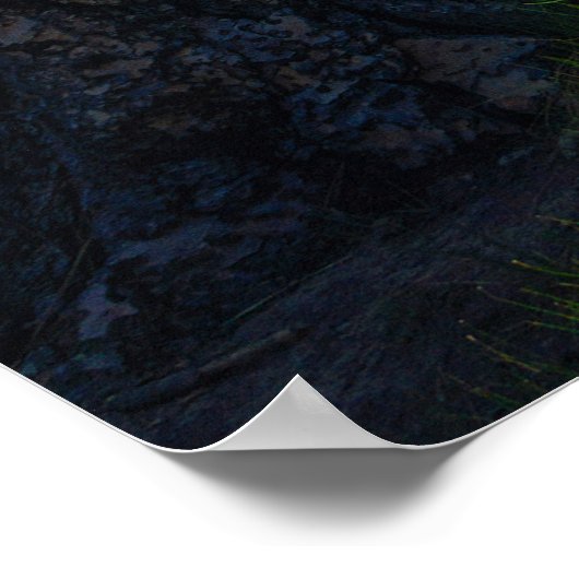 Poster Quiet Meadow Refuge (Coin)