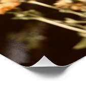 Poster Quiet Wings (Coin)