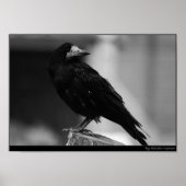 Poster Quitter le paradis (Devant)