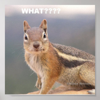 Poster Quoi ? ? ? ?