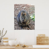 Poster Quokka (Cuisine)