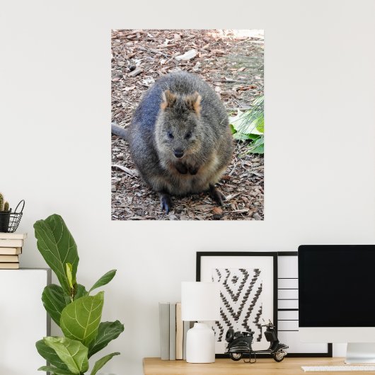 Poster Quokka (Bureau à domicile)