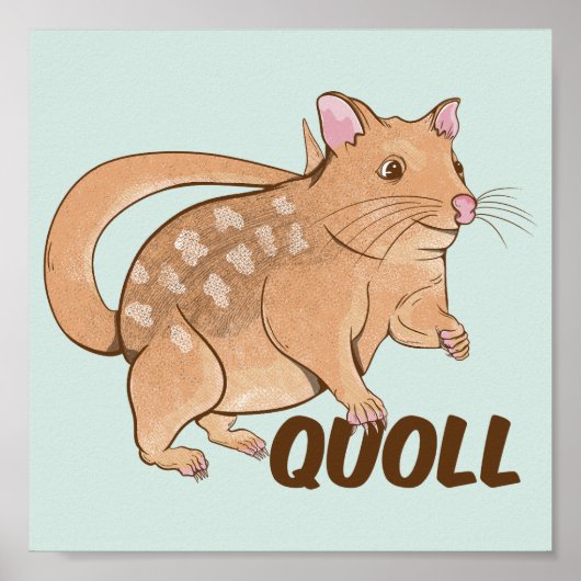 Poster Quoll Australian Marsupial (Devant)