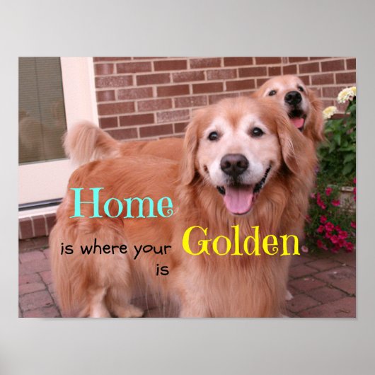 Poster Quote de maison Golden Retriever (Devant)