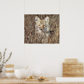 Poster R21 Coyote "Vous regarder" (Cuisine)
