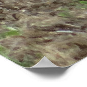 Poster R22 Coyote Couché (Coin)