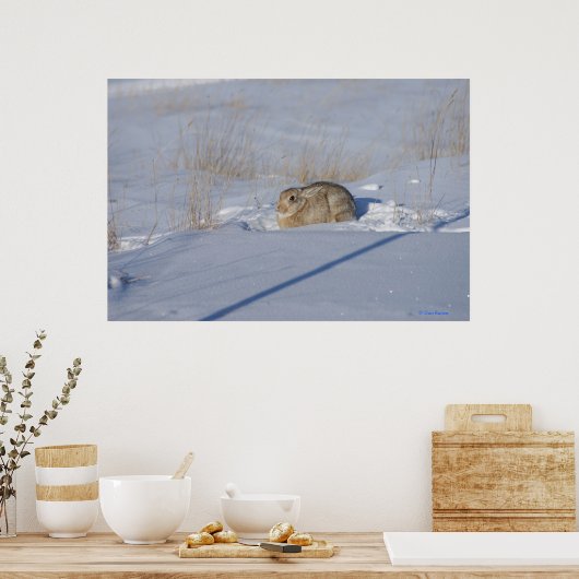 Poster R5 Lapin de coton en neige (Cuisine)