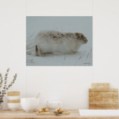 Poster R7 Lièvre de raquette prêt à courir (Cuisine)