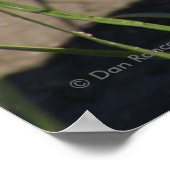 Poster R8 Tête de sonnerie (Coin)