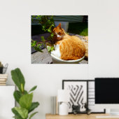 Poster Rabatteur dans un pot (Bureau à domicile)