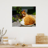 Poster Rabatteur dans un pot (Cuisine)