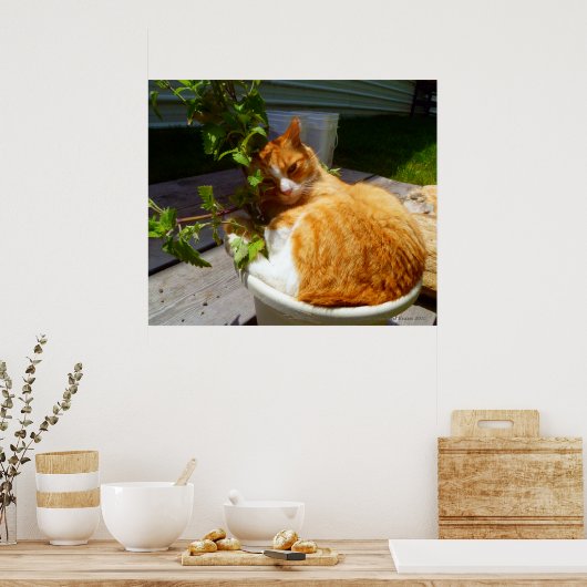 Poster Rabatteur dans un pot (Cuisine)