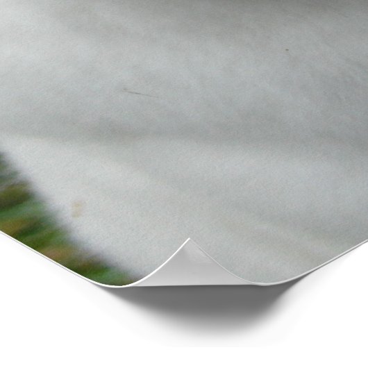 Poster Rabbit adorable (Coin)