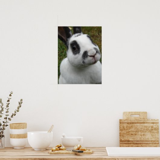 Poster Rabbit adorable (Cuisine)