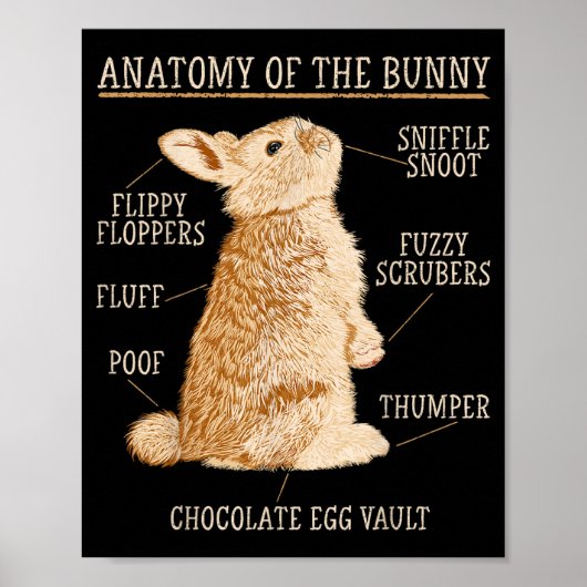 Poster Rabbit Anatomy Bunny Lover Animal Pet Owner  (Devant)