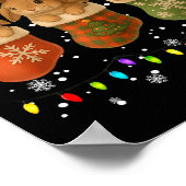 Poster Rabbit In Christmas Socks Lights Rabbit Xmas (Coin)