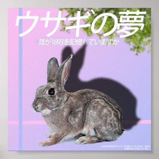 Poster Rabbitwave 2.0 (Devant)