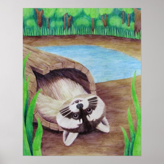 Poster Raccoon (Devant)