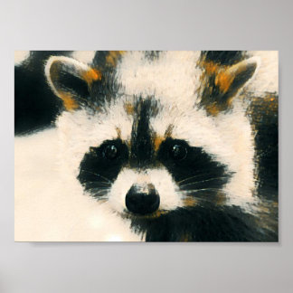 Poster Raccoon