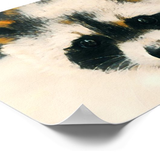 Poster Raccoon (Coin)