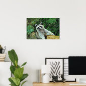 Poster Raccoon #2 (Bureau à domicile)