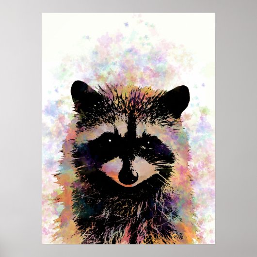 Poster Raccoon 27 (Devant)